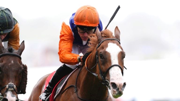 CHANGE OF VENUE NO PROBLEM FOR TEN BOB TONY AND PEARSON MAKES THE RIGHT CALL IN PRINCESS ELIZABETH S