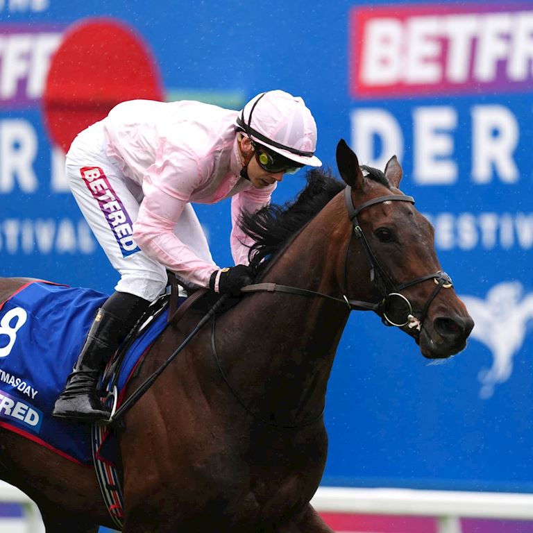 Christmas Comes Early _ Derby winner 2026 _ dual content block (1).jpg