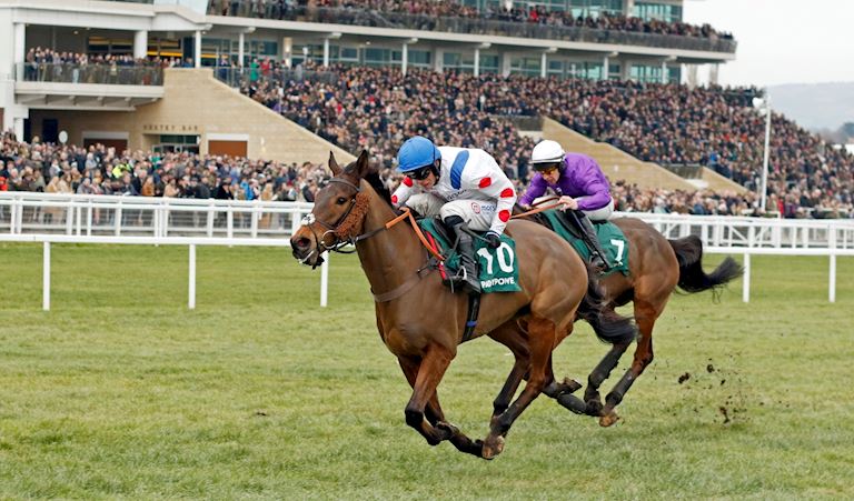 ENTRIES FOR THE VIRGIN BET DECEMBER GOLD CUP
