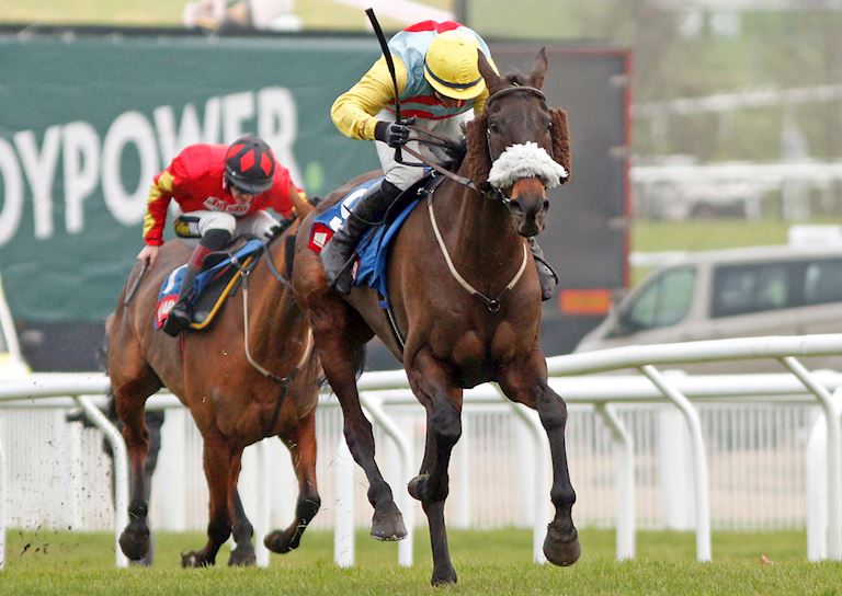 Cheltenham New Year's Day 2022 | Cheltenham Racecourse