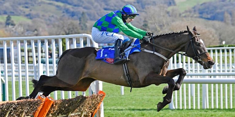 The Cheltenham Festival 2021 Gold Cup Results