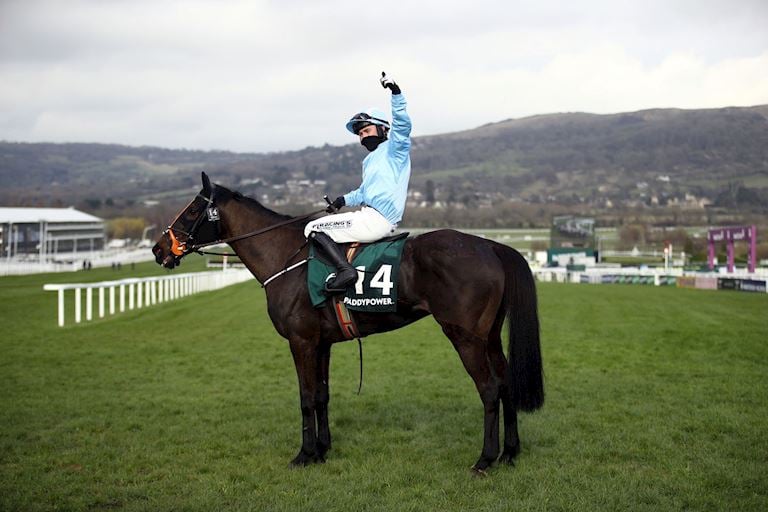 PA- The Shunter ridden by Jordan Gainford.jpg