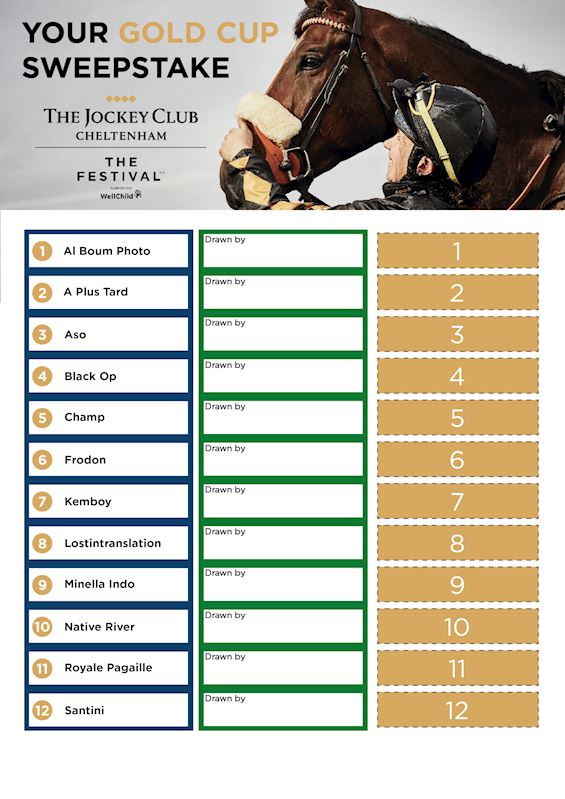 Cheltenham Gold Cup Sweepstake