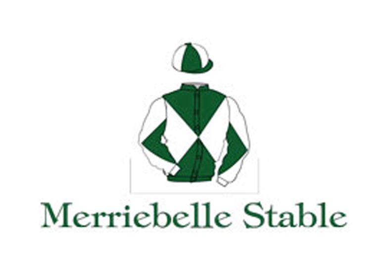 CHE_Merriebelle-Stable-Logo - OPTIMISED.jpg
