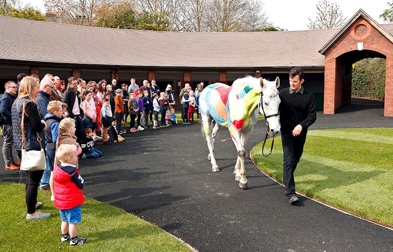 CHE-JUNIOR-JUMPERS-PAINTED-HORSE.jpg
