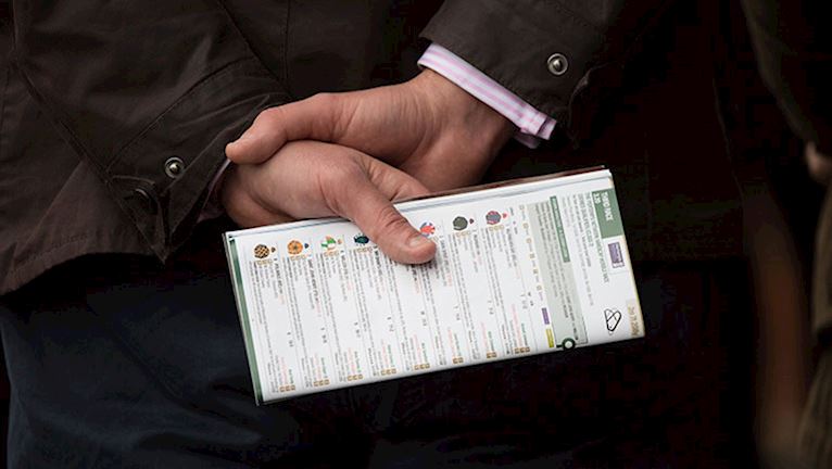 Betting Guide