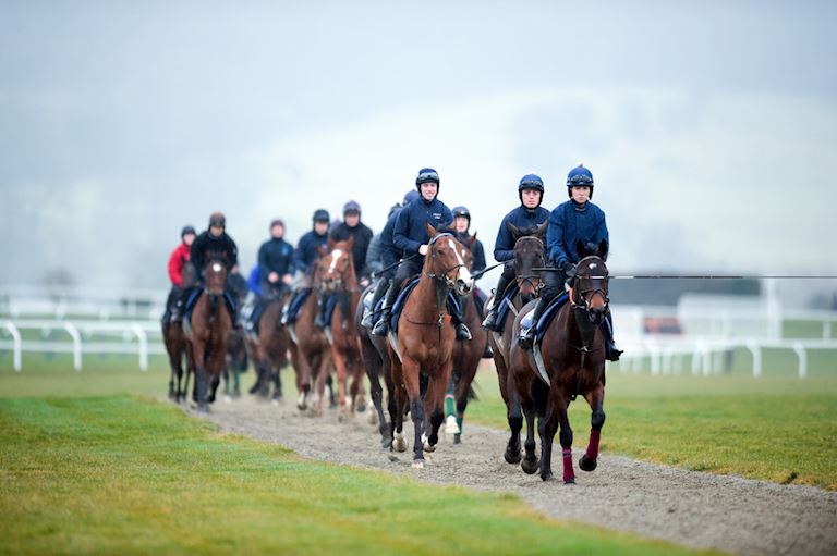 INFORMATION FOR OWNERS & RACING PARTICIPANTS 