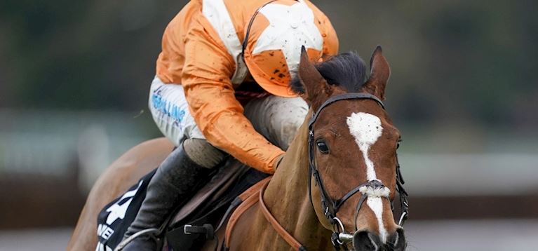 entries revealed for G1 novices’ hurdles