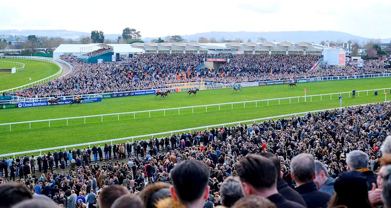 Jockey Club Hosts at Cheltenham