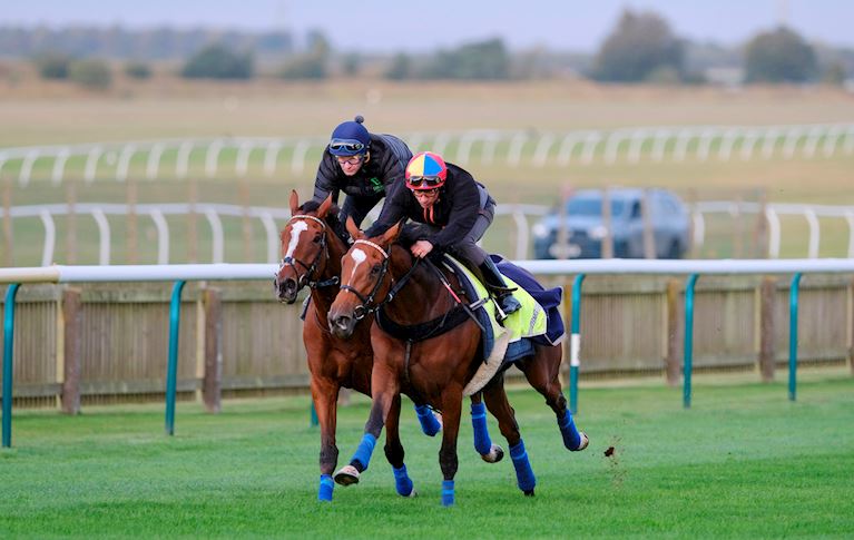 Robert Havlin on Enable