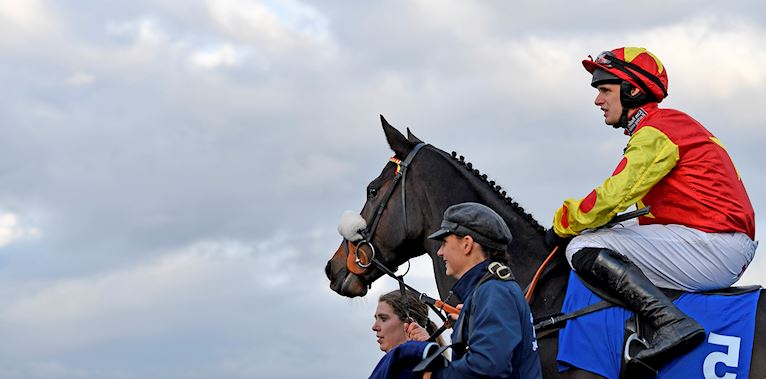 EXE-JUNIOR-JUMPER-RACEDAY