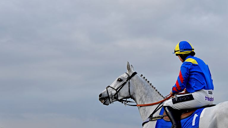 EXE-JUNIOR-JUMPERS-RACEDAY-3