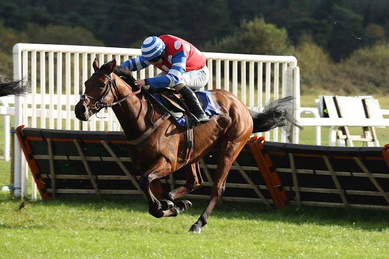 EXE-BEST-MATE-BEGINNERS-CHASE-DAY-RACE-3