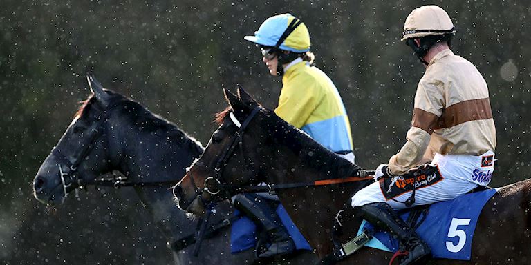 Festive celebrations on Christmas raceday