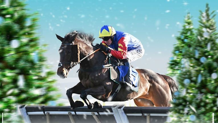 Christmas Cup Raceday