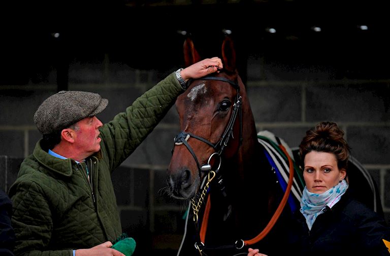 Owners and Trainers