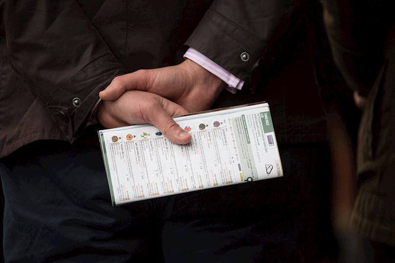 Betting Guide