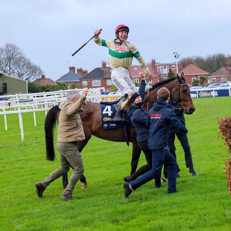Twig william hill 2 dual 1500.jpg