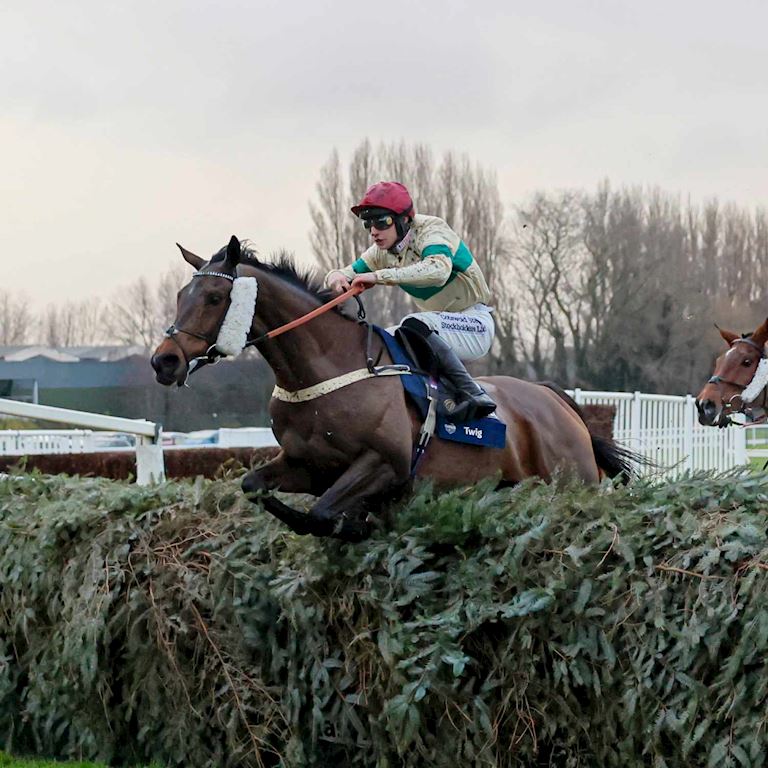 Twig william hill 4 dual 1500.jpg