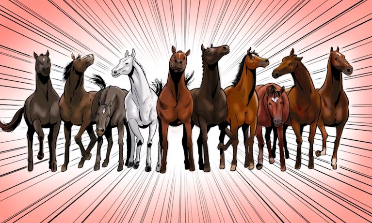 Magnificent Racehorses