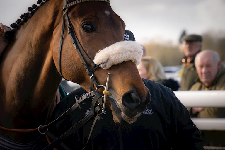 £25,000 FESTIVAL BONUS UP FOR GRABS FOR WINNER OF SATURDAY’S WIGLEY GROUP HAMPTON NOVICES' CHASE AT 