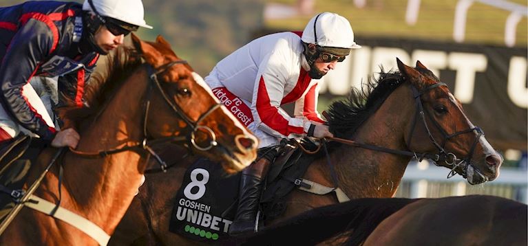 GOSHEN SET FOR BETWAY KINGWELL HURDLE