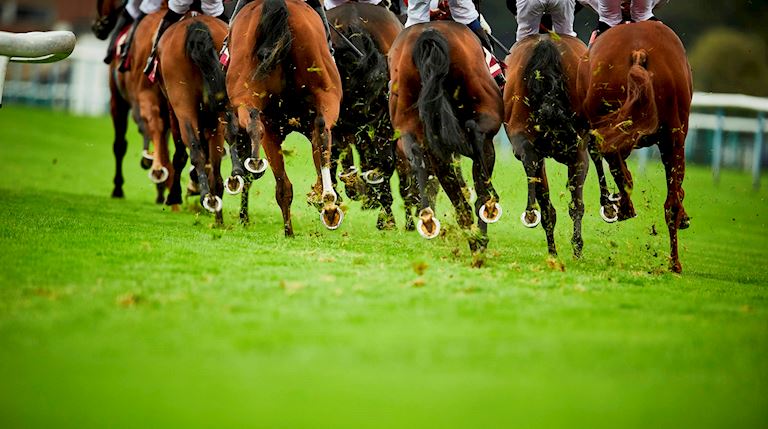 Transport To Exeter Racecourse