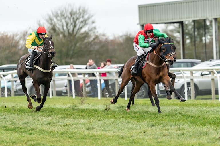 Somerset in the sporting limelight on Betway Kingwell Hurdle Day