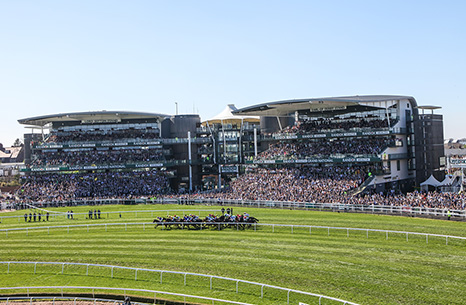 Aintree and Haydock Venues offer 