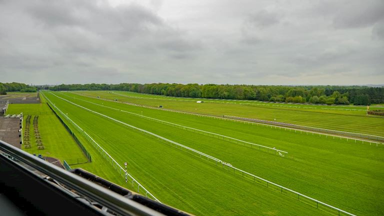 Haydock_030522-11 (2) (1).jpg