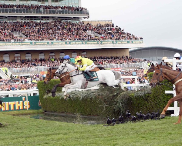 AINTREE_GRAND_NATIONAL_GREYS_BETTING.jpg