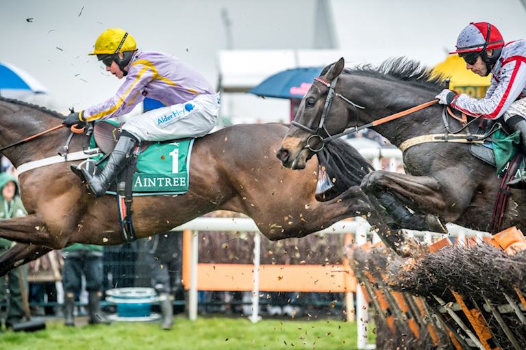 AINTREE_GN2018-Ladies-Day_Horse_jumping.jpg