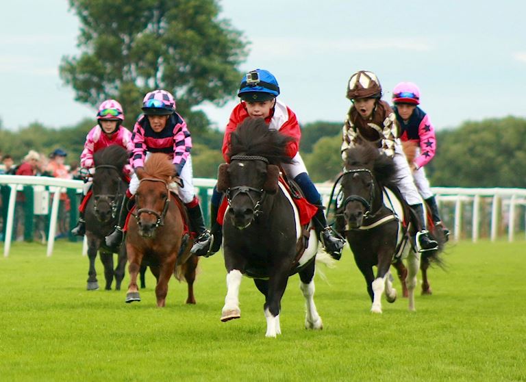 Flat Race Image 2.jpeg