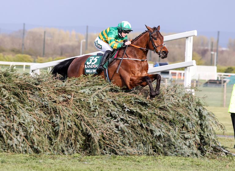 Grand National Fences