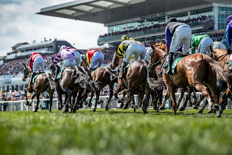 The Grand National Classics 