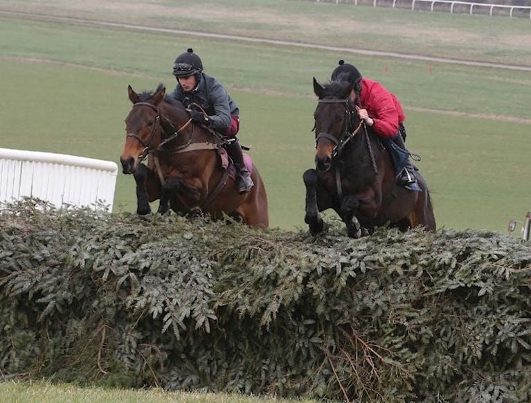 AINTREE_Schooling_Fences.jpg