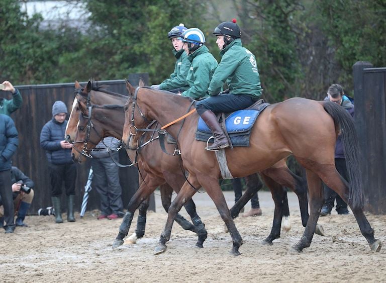 Gordon Elliott100 Randox.JPG