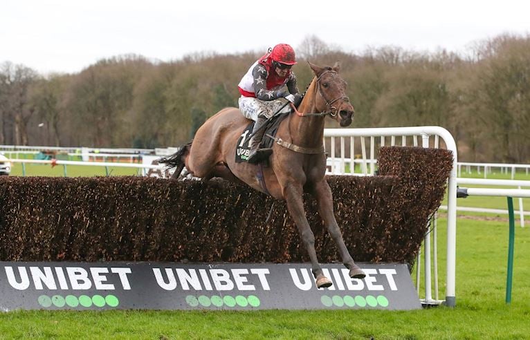 Smooth Stepper wins the Unibet Grand National Trial 