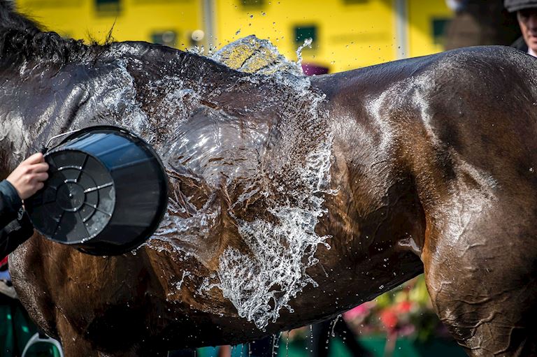 Stabling Information