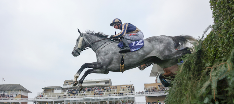 Arriving at Aintree