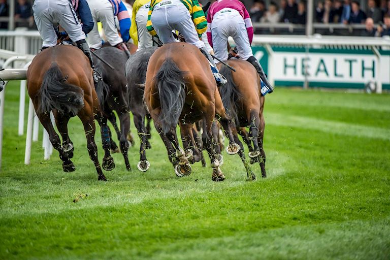 Aintree FAQs