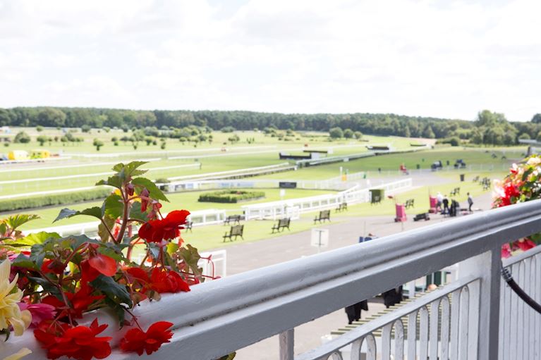 Meetings & Conferences at Market Rasen