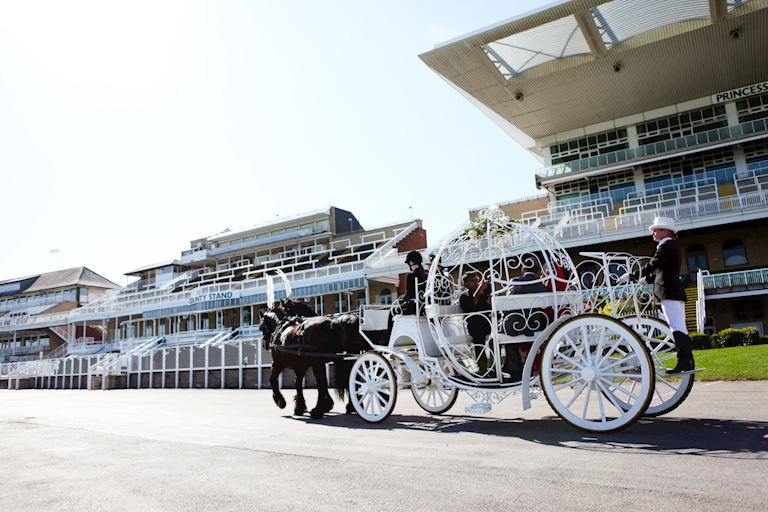 AIN_Horse_Carriage.jpg