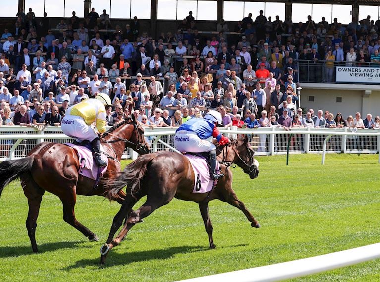 The Great Community Raceday