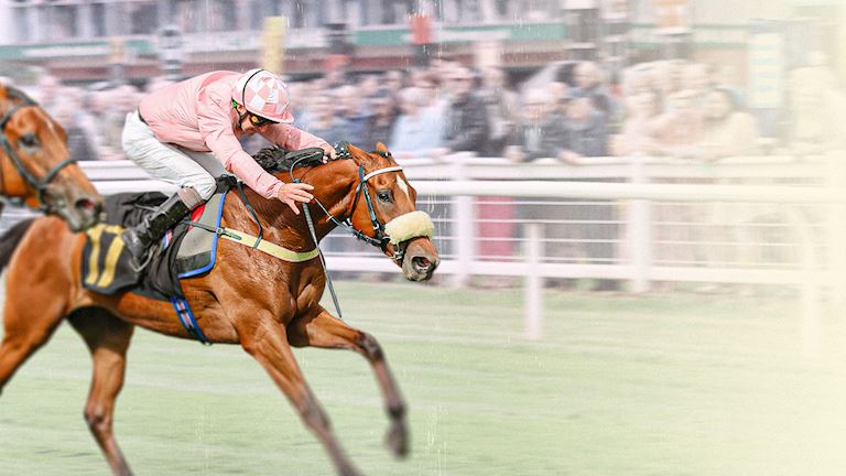 Carlisle Bell and Cumberland Plate Raceday 