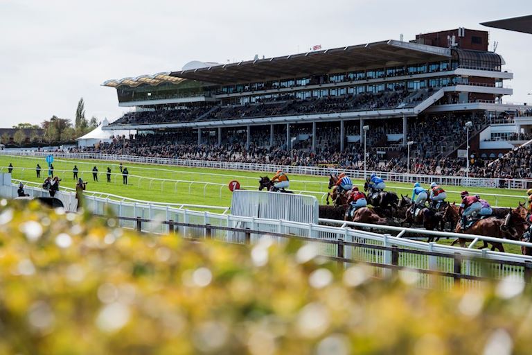Cheltenham April 16th-29.jpg