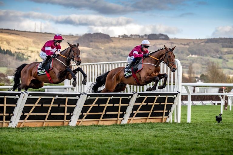 Cheltenham 2025 Tuesday-409 (1).jpg
