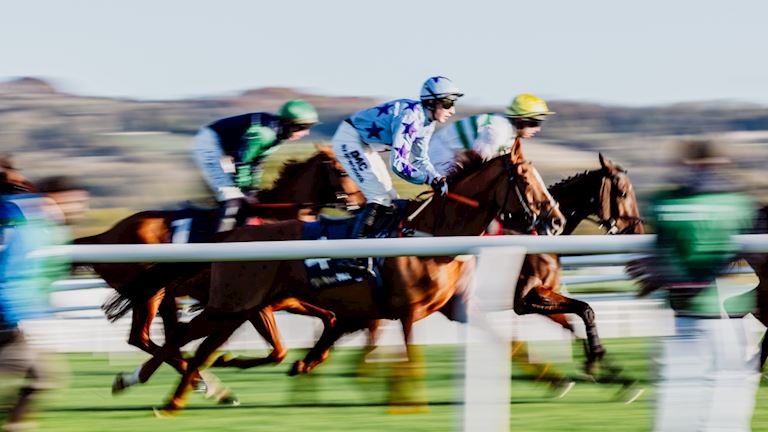 The William Hill Showcase