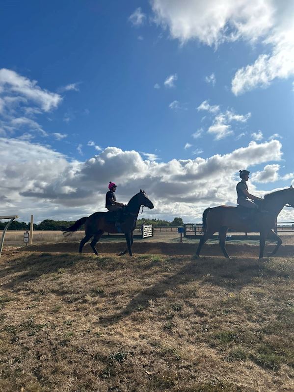 Gold Cup Racing Club's First Visit to Fergal O'Brien Racing