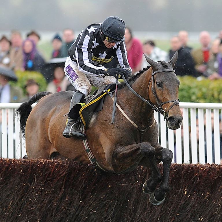 Imperial Commander_ Cheltenham Blog (1) (1).jpg